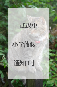 武汉中小学放假通知！