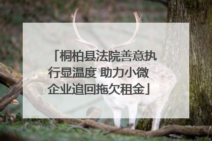 桐柏县法院善意执行显温度 助力小微企业追回拖欠租金
