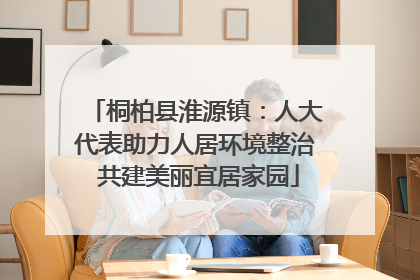 桐柏县淮源镇：人大代表助力人居环境整治 共建美丽宜居家园