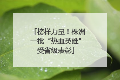 榜样力量！株洲一批“热血英雄”受省级表彰