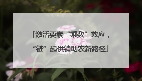 激活要素“乘数”效应，“链”起供销助农新路径