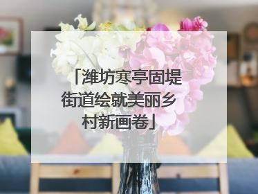潍坊寒亭固堤街道绘就美丽乡村新画卷