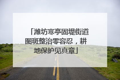 潍坊寒亭固堤街道图斑整治零容忍，耕地保护见真章