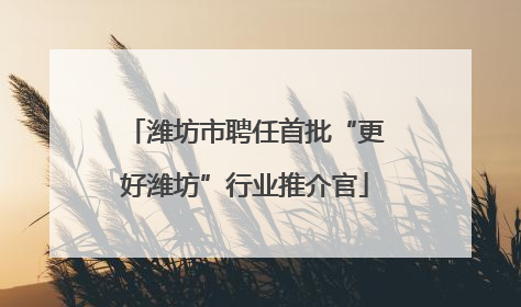 潍坊市聘任首批“更好潍坊”行业推介官