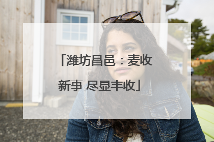 潍坊昌邑：麦收新事 尽显丰收
