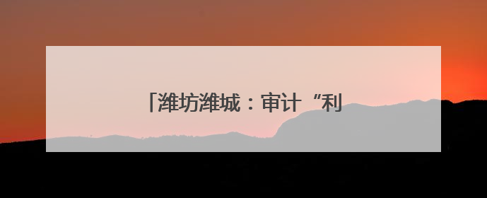 潍坊潍城：审计“利剑”护航高质量发展