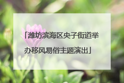 潍坊滨海区央子街道举办移风易俗主题演出
