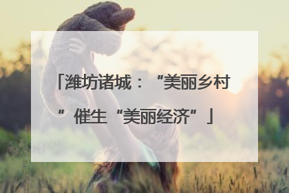 潍坊诸城：“美丽乡村”催生“美丽经济”