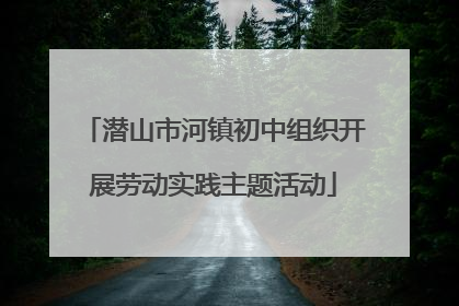 潜山市河镇初中组织开展劳动实践主题活动