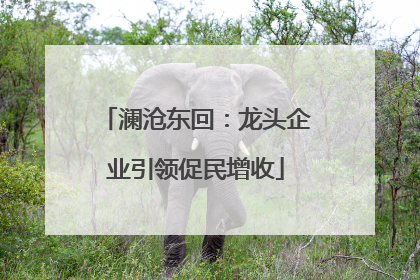 澜沧东回：龙头企业引领促民增收