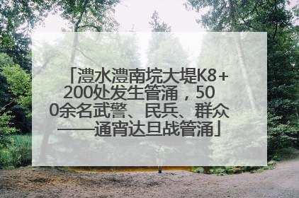 澧水澧南垸大堤K8+200处发生管涌，500余名武警、民兵、群众——通宵达旦战管涌