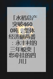 水稻总产突破4600吨，集体经济翻两番：永丰村的三年蜕变｜您牵挂的四川