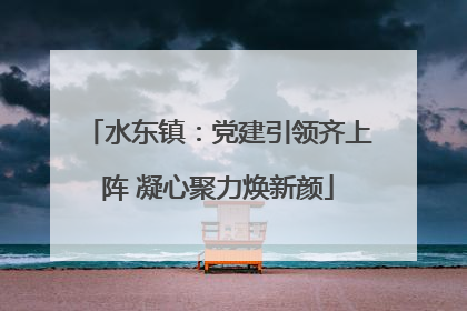 水东镇：党建引领齐上阵 凝心聚力焕新颜