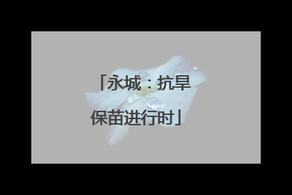 永城：抗旱保苗进行时