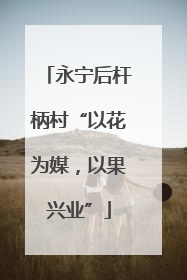 永宁后杆柄村“以花为媒，以果兴业”