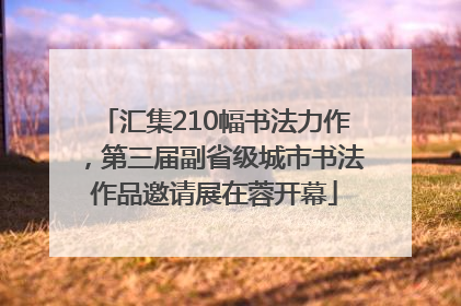 汇集210幅书法力作，第三届副省级城市书法作品邀请展在蓉开幕