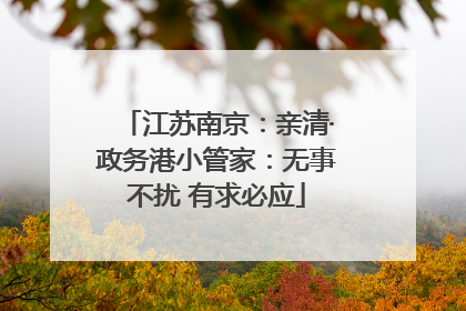 江苏南京：亲清·政务港小管家：无事不扰 有求必应