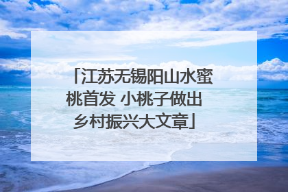 江苏无锡阳山水蜜桃首发 小桃子做出乡村振兴大文章