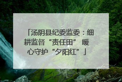 汤阴县纪委监委：细耕监督“责任田” 暖心守护“夕阳红”