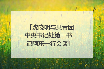 沈晓明与共青团中央书记处第一书记阿东一行会谈