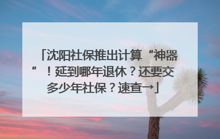 沈阳社保推出计算“神器”！延到哪年退休？还要交多少年社保？速查→