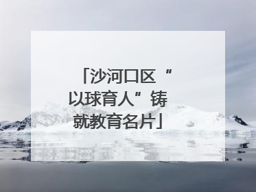 沙河口区“以球育人”铸就教育名片