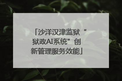 沙洋汉津监狱“狱政AI系统”创新管理服务效能