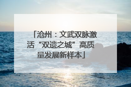 沧州：文武双脉激活“双遗之城”高质量发展新样本