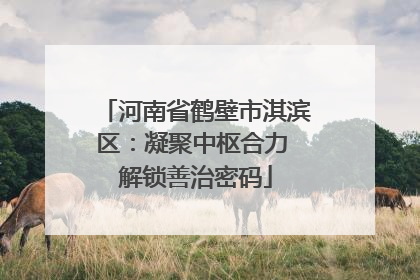 河南省鹤壁市淇滨区:凝聚中枢合力 解锁善治密码