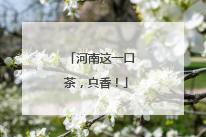 河南这一口茶，真香！