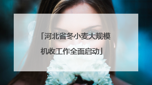 河北省冬小麦大规模机收工作全面启动