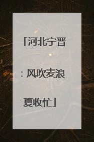 河北宁晋：风吹麦浪夏收忙