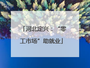 河北定兴：“零工市场”助就业