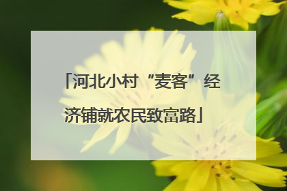 河北小村“麦客”经济铺就农民致富路