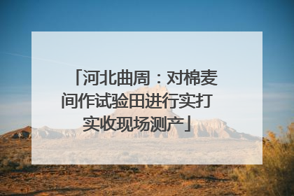 河北曲周：对棉麦间作试验田进行实打实收现场测产