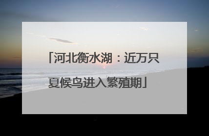河北衡水湖：近万只夏候鸟进入繁殖期