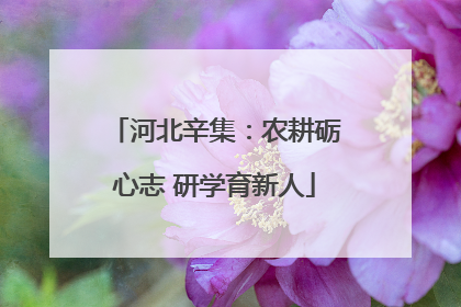 河北辛集：农耕砺心志 研学育新人