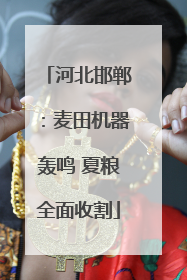 河北邯郸：麦田机器轰鸣 夏粮全面收割