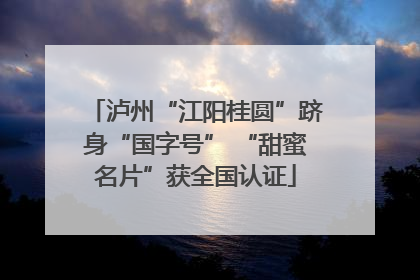 泸州“江阳桂圆”跻身“国字号” “甜蜜名片”获全国认证