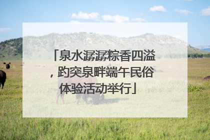 泉水潺潺粽香四溢，趵突泉畔端午民俗体验活动举行