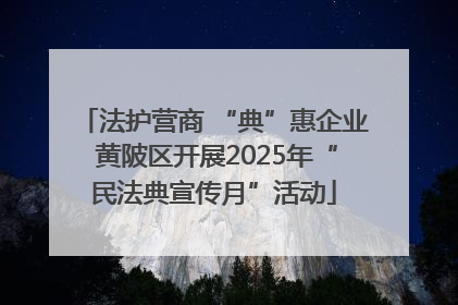 法护营商 “典”惠企业 黄陂区开展2025年“民法典宣传月”活动