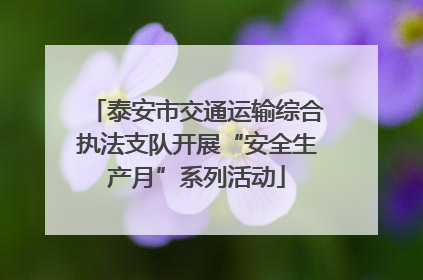 泰安市交通运输综合执法支队开展“安全生产月”系列活动