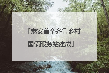 泰安首个齐鲁乡村国债服务站建成