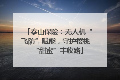 泰山保险：无人机“飞防”赋能，守护樱桃“甜蜜”丰收路