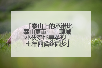 泰山上的承诺比泰山更重——聊城小伙受托寻英烈，七年四省终圆梦
