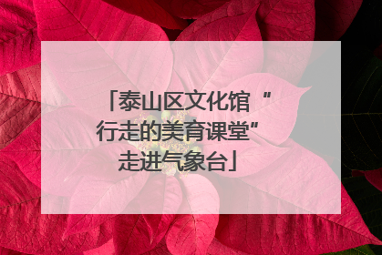 泰山区文化馆“行走的美育课堂”走进气象台