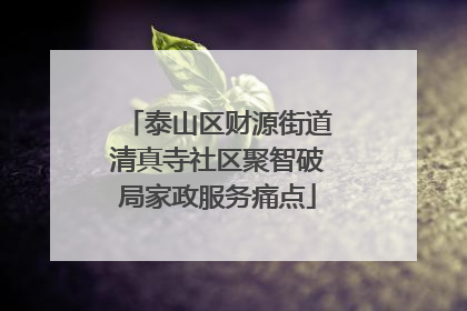 泰山区财源街道清真寺社区聚智破局家政服务痛点