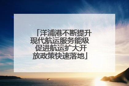 洋浦港不断提升现代航运服务能级 促进航运扩大开放政策快速落地