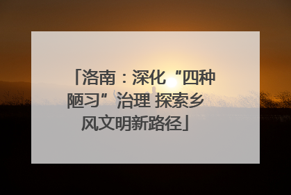 洛南：深化“四种陋习”治理 探索乡风文明新路径