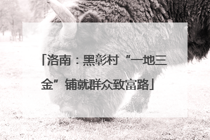 洛南：黑彰村“一地三金”铺就群众致富路